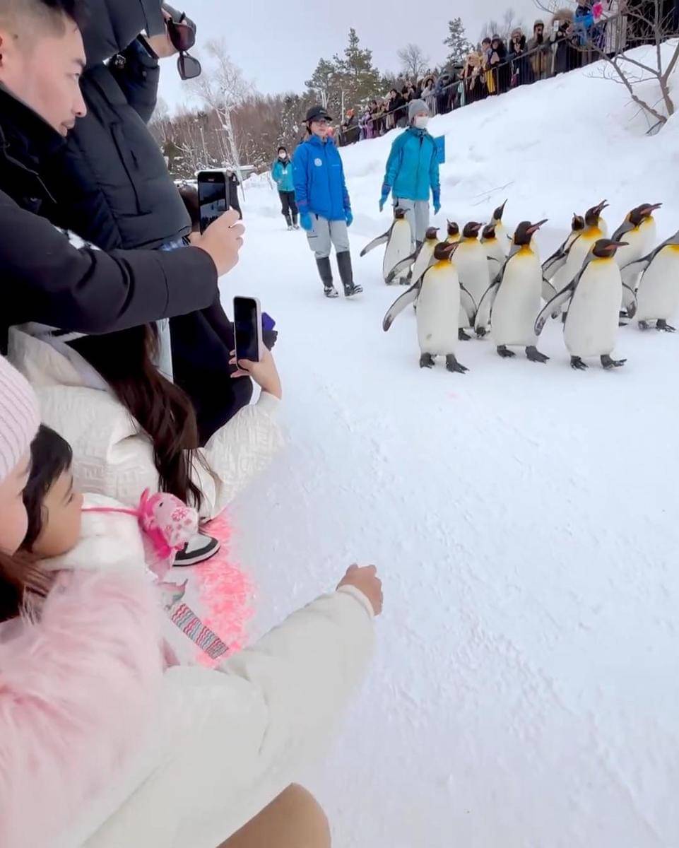 Instagram.com/nandaarsynt